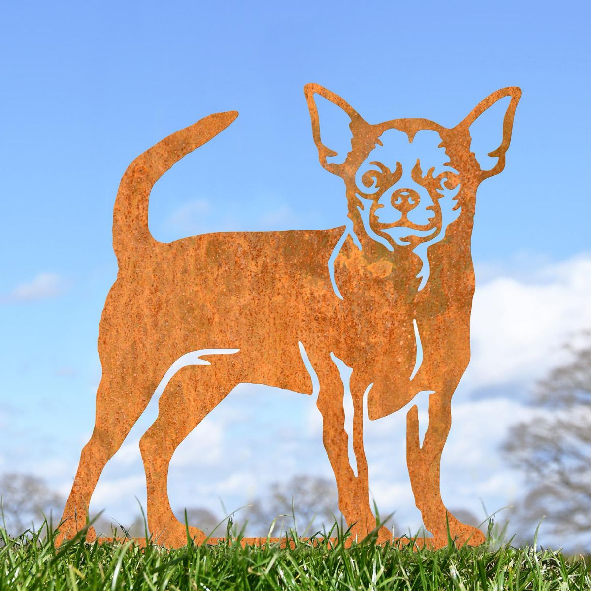 Chihuahua Silhouette in Use Outdoors