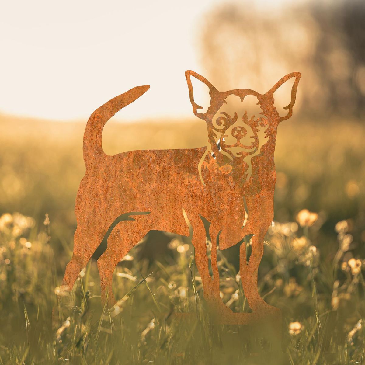 Chihuahua Silhouette in Situ in a Field