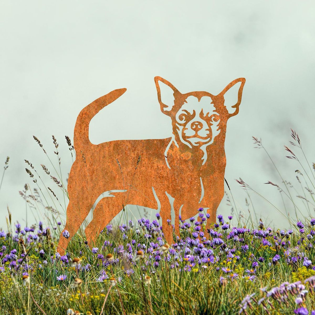 Chihuahua Silhouette on Display in the Flowers