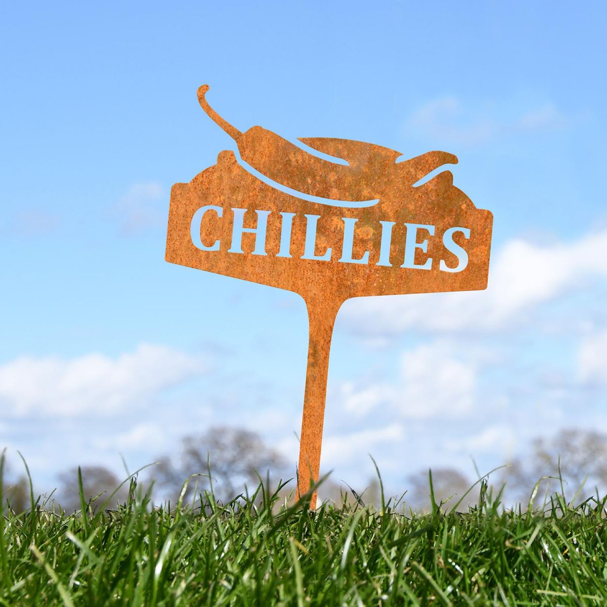 "Chillies" Vegetable Label in Situ