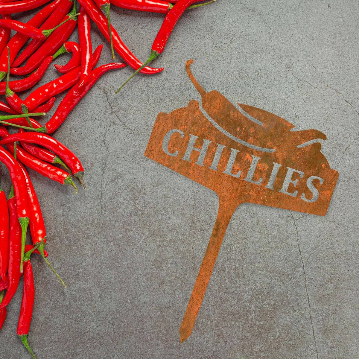 "Chillies" Vegetable Label Created From Steel
