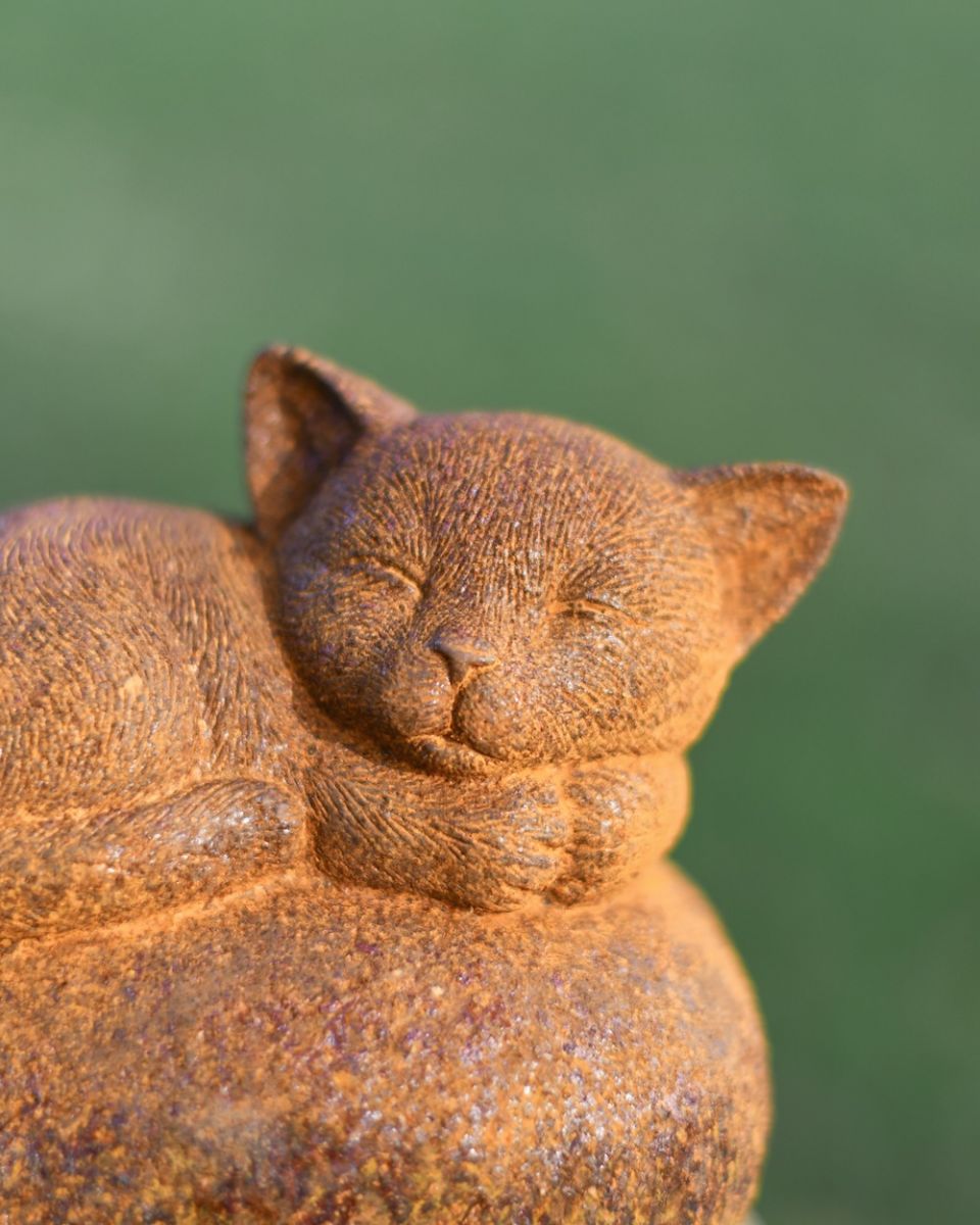 Close up of face detail on kitten sleeping patio statue Close up of face detail on kitten sleeping patio statue
