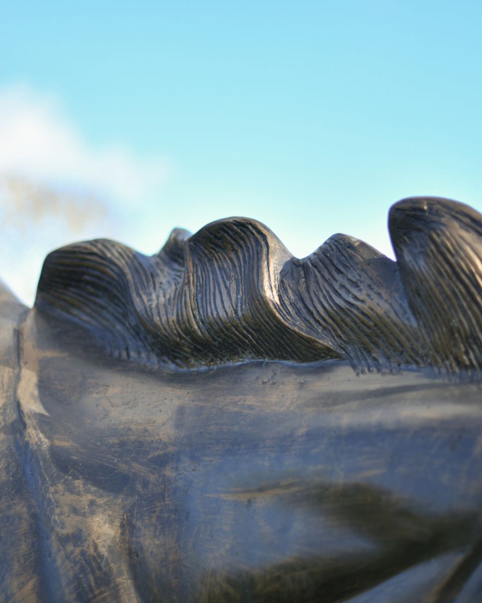 Close Up Of The Details On The Cast Aluminium Bucking Horse