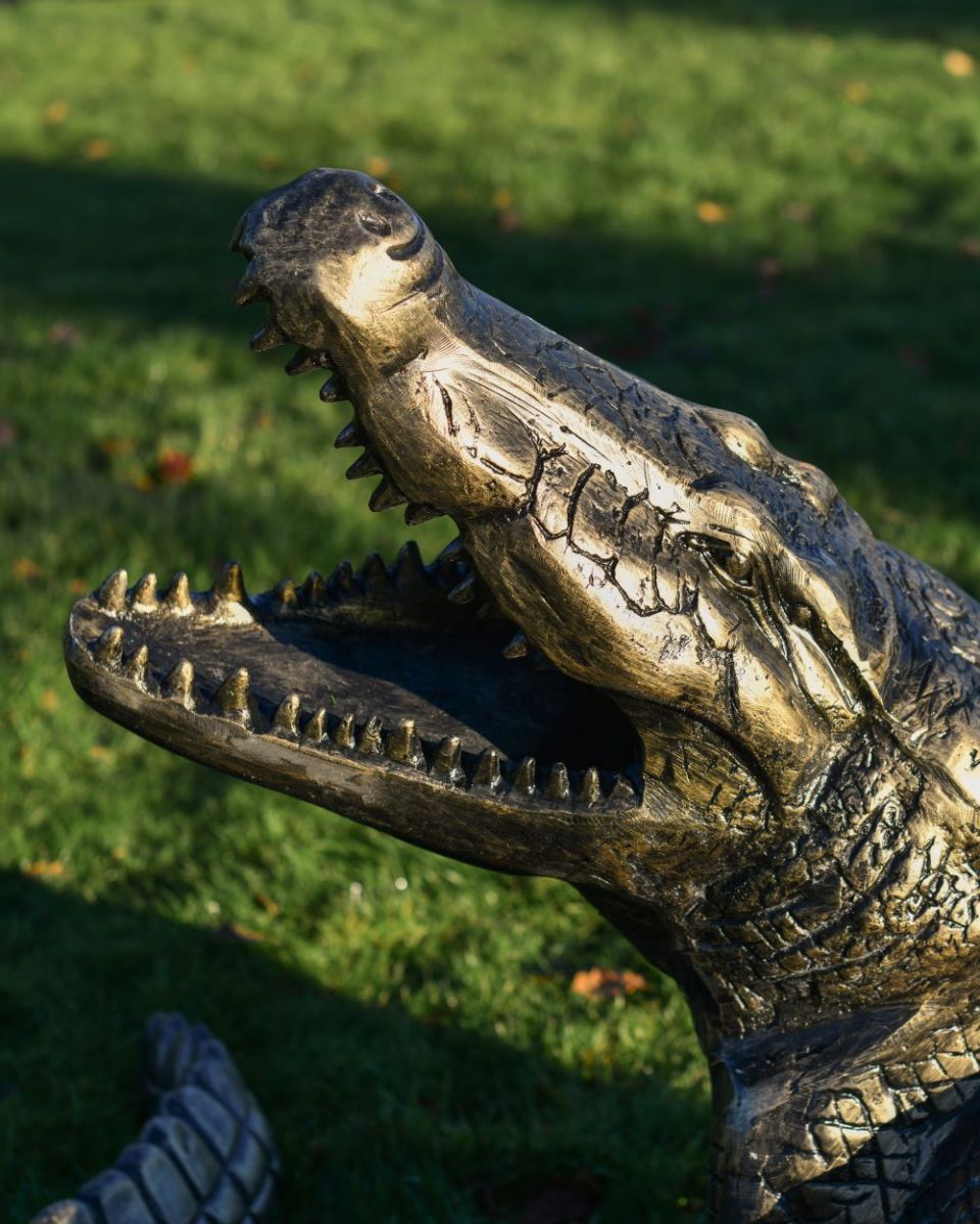 Close up of Alligator head