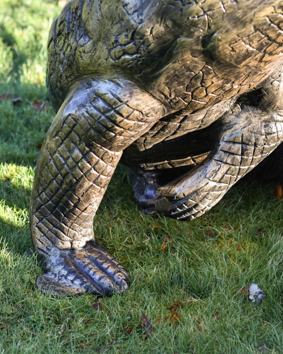 Close up of Alligator leg