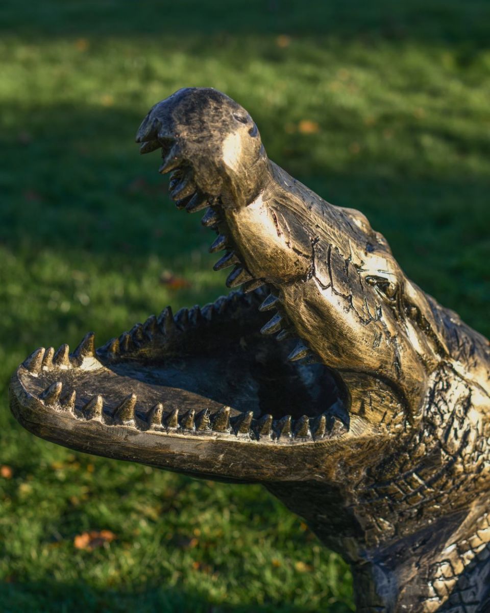 Close up of Alligator Mouth