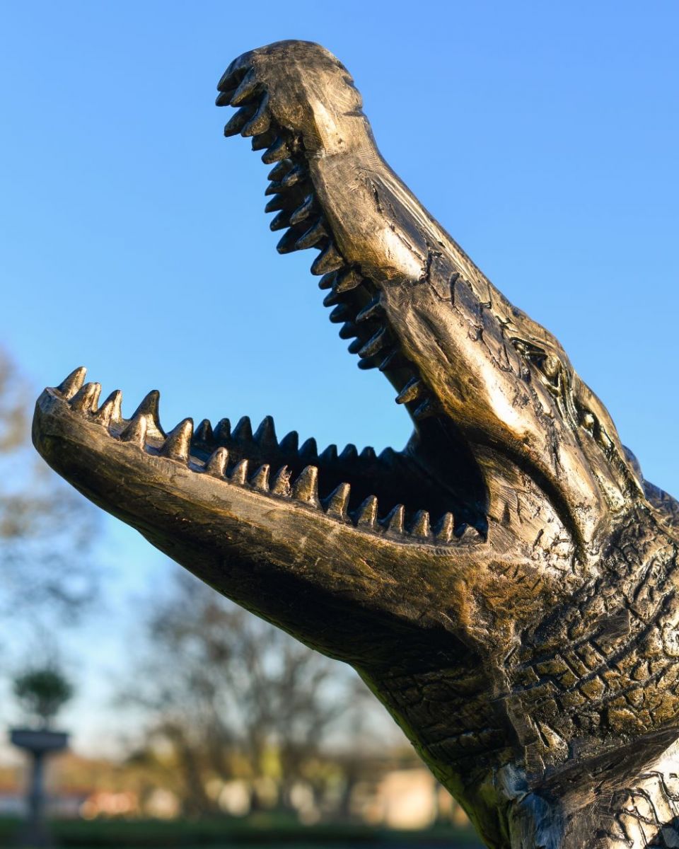 Close up of alligator Teeth Detail