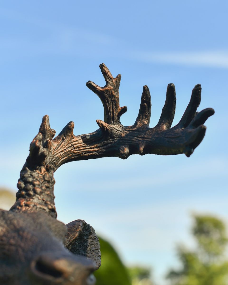 close up of antler detail on stag bust entryway sculpture