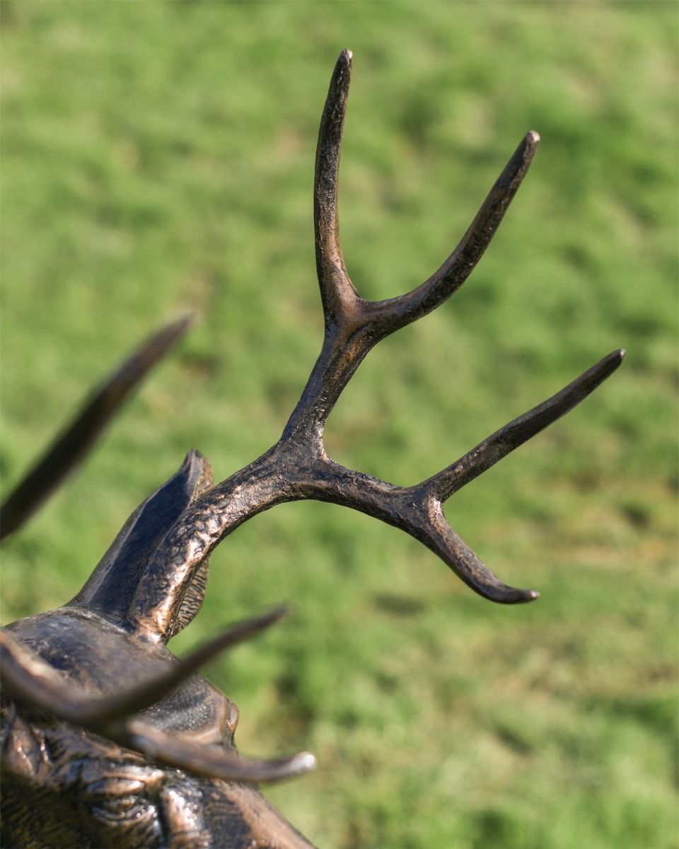 Close Up Of "Shadow" Buck Sculpture  Close Up Of "Shadow" Buck Sculpture