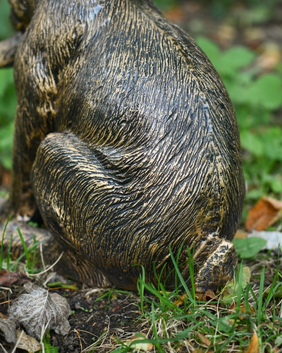 Close up of life-like fur detail on hare garden statue