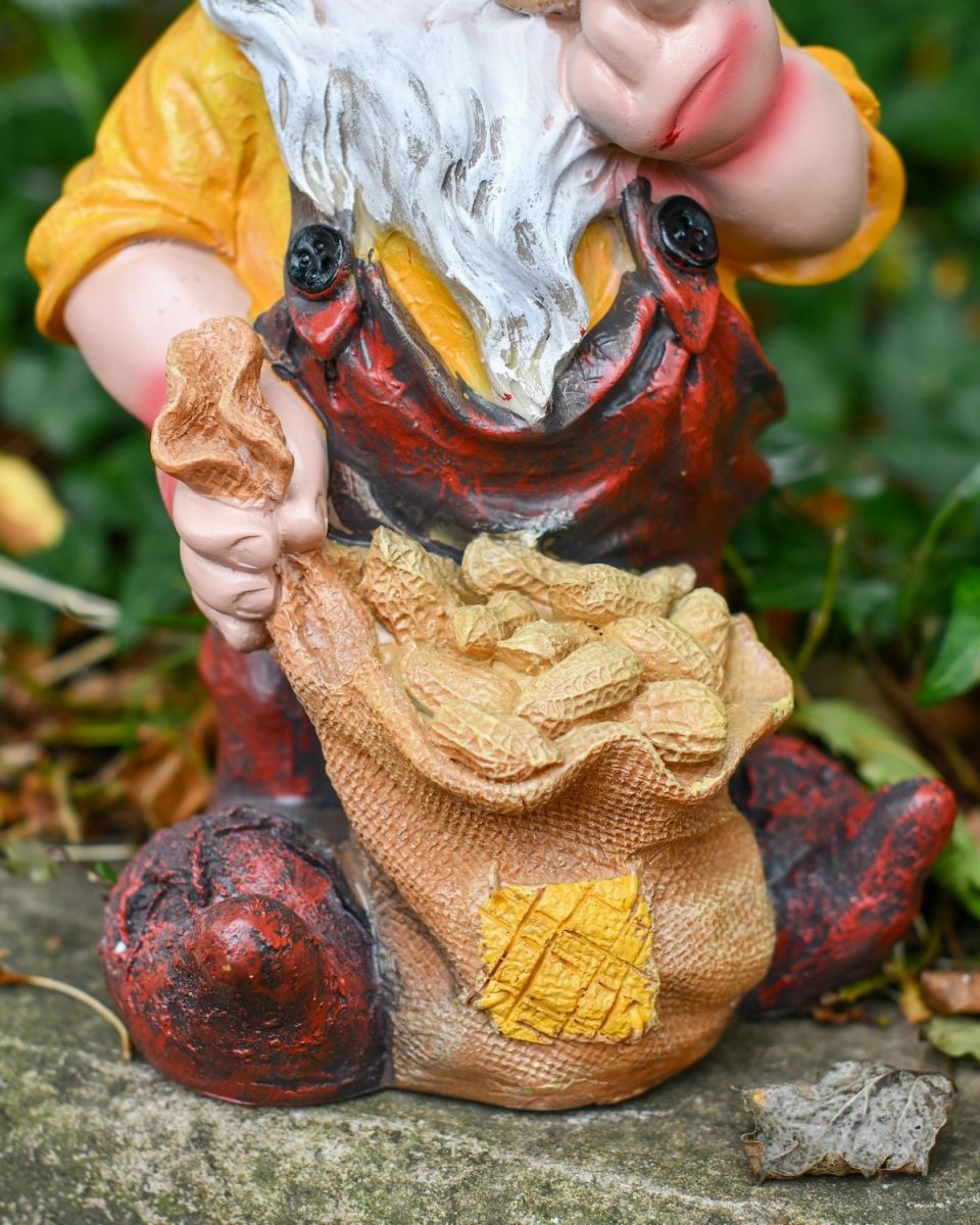 Close up of bag of peanuts detail on colourful garden gnome sculpture