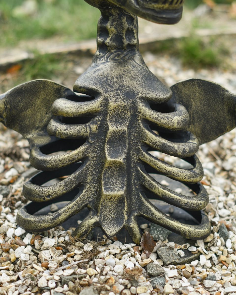 Close up of body detail on brushed gold cast aluminium skeleton garden statue