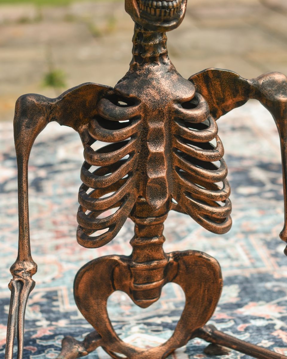Close up of intricate ribs detail on skeleton garden statue