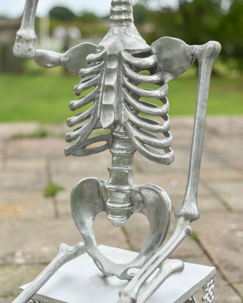 Close up of intricate rib and body detail on skeleton outdoor statue with freestanding base