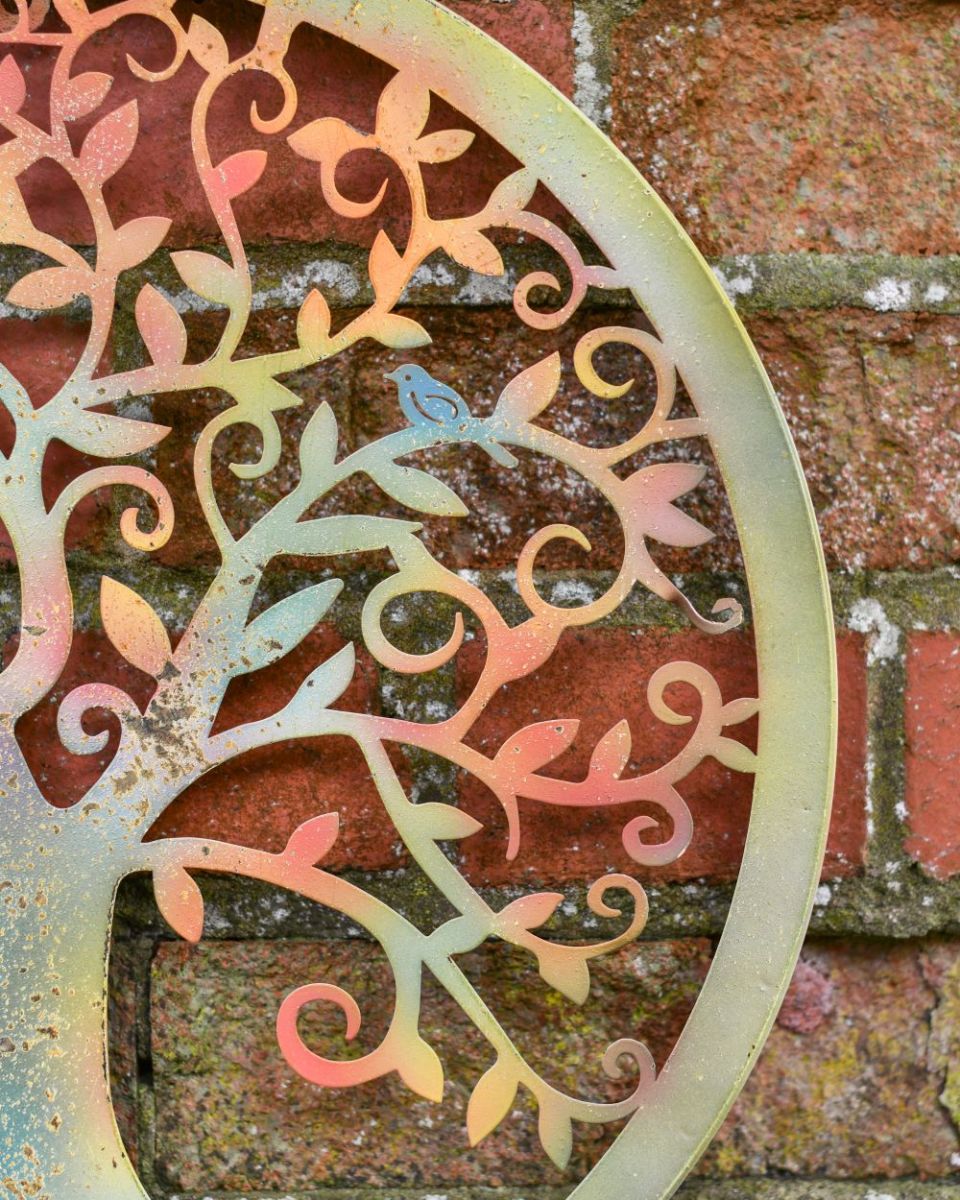 Close up of branches and frame