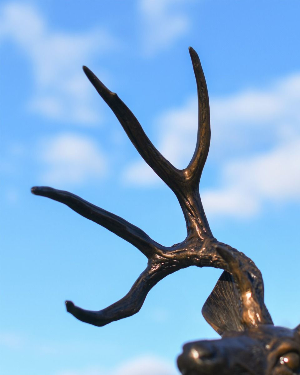 Close Up Of Brushed Bronze Stag Antlers