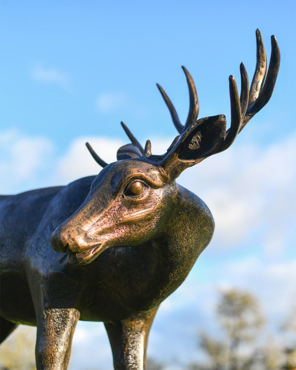Close Up Of "Magnus" Buck Sculpture In Situ 
