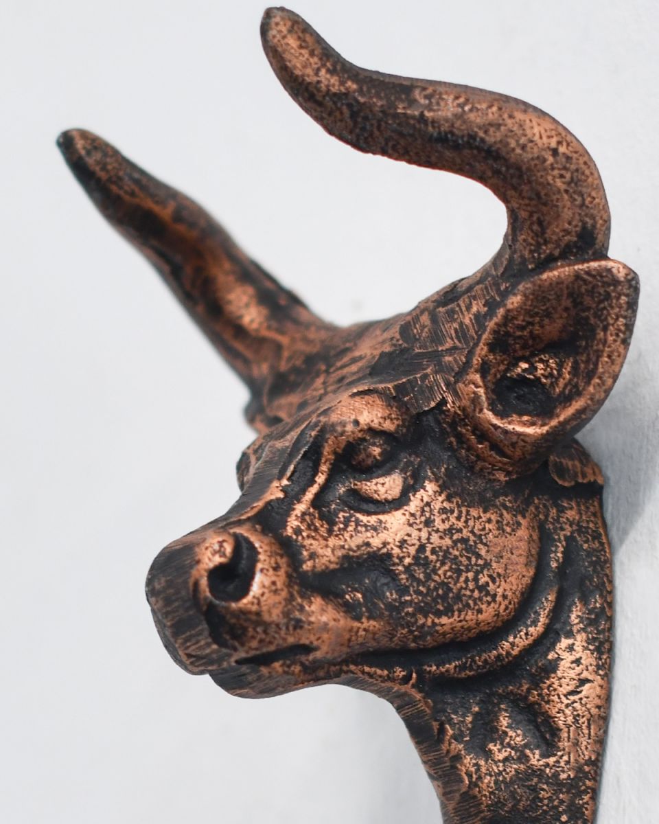 Close up of intricate face detail on copper coat hook