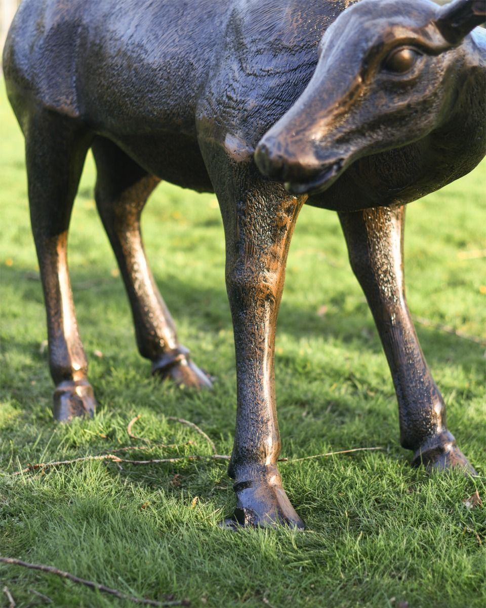 Close Up Of Doe Sculpture  Close Up Of Doe Sculpture