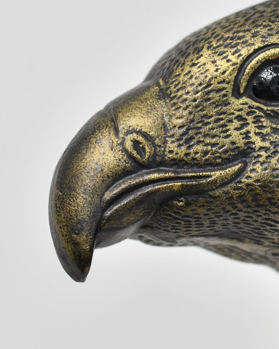Close up of beak detail on animal head wall bust