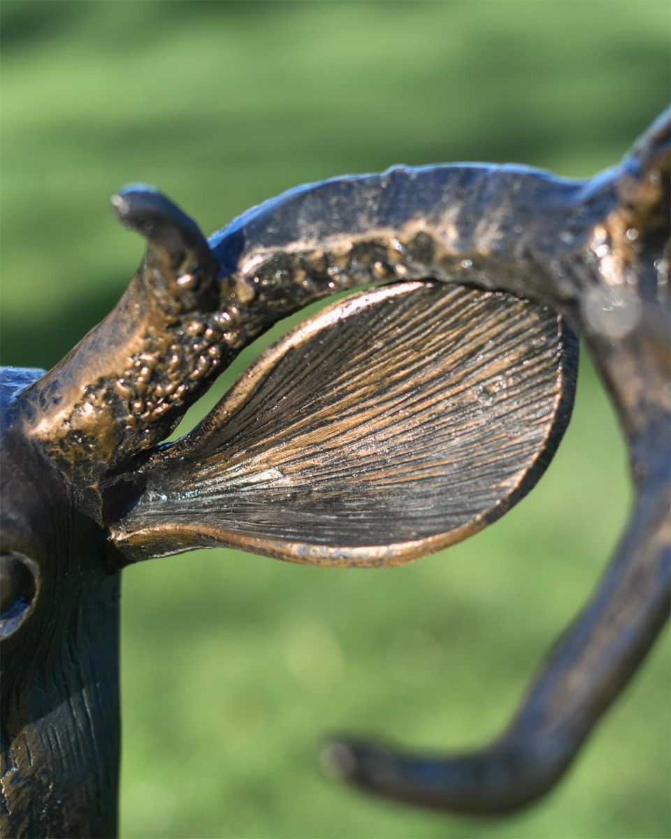 Close Up Of Brushed Bronze Stag Ear 