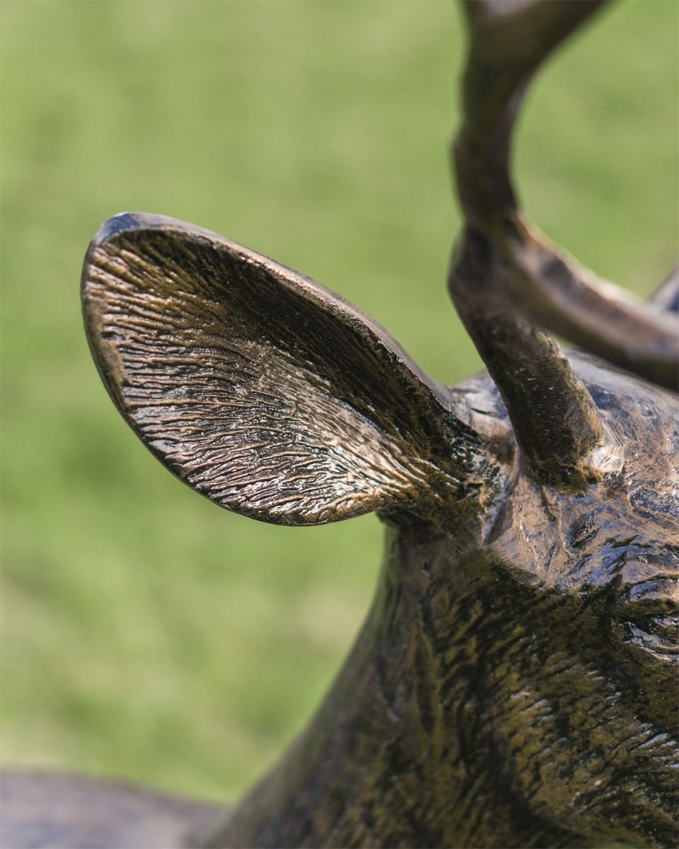 Close Up Of "Shadow" Buck Sculpture  Close Up Of "Shadow" Buck Sculpture