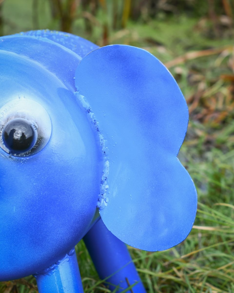 Close up of ears on "Sadie" the Elephant Garden Sculpture