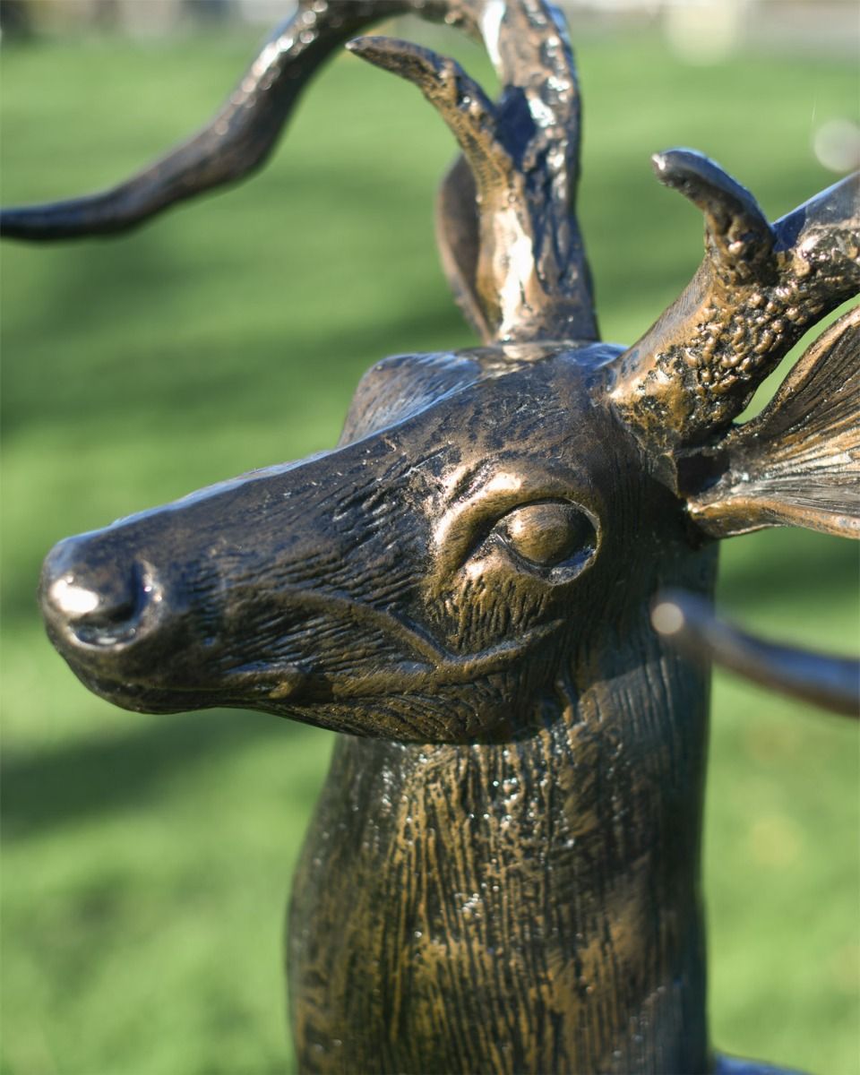 Close Up Of Brushed Bronze Stag Face
