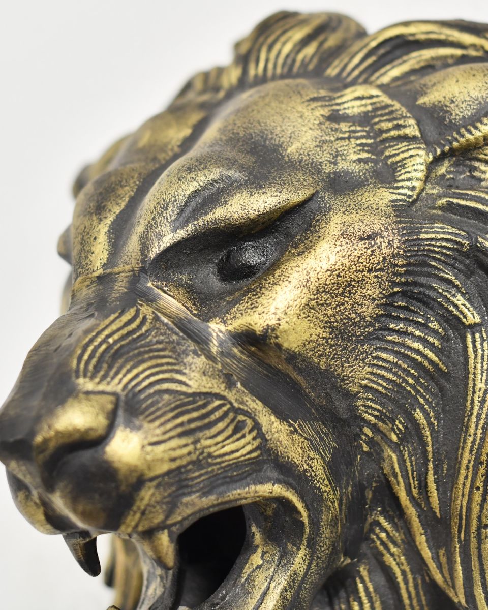 Close up of intricate detail on lion face on animal head wall bust