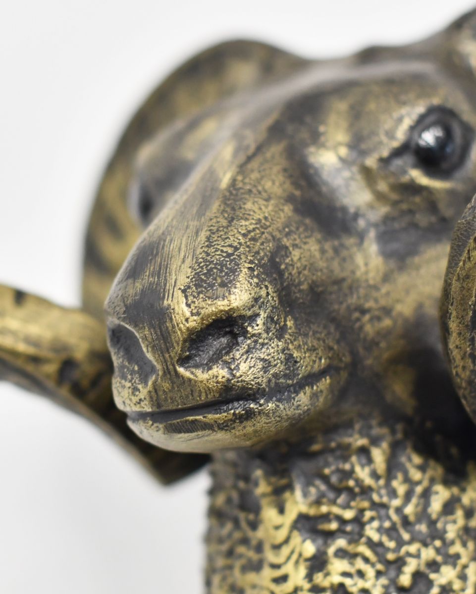 Close up of nose detail on ram wall bust
