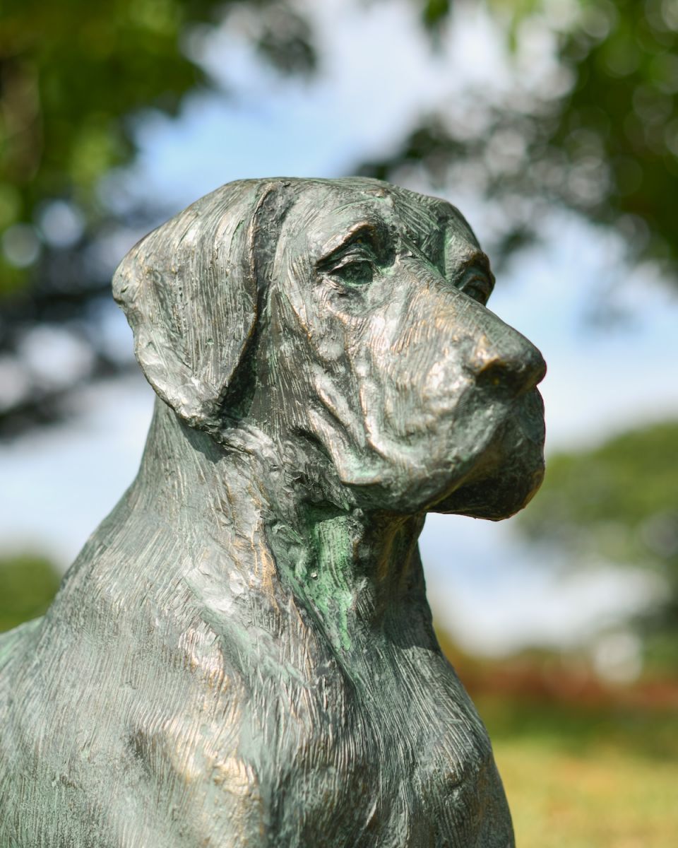 Close up of face detail on dog garden statue