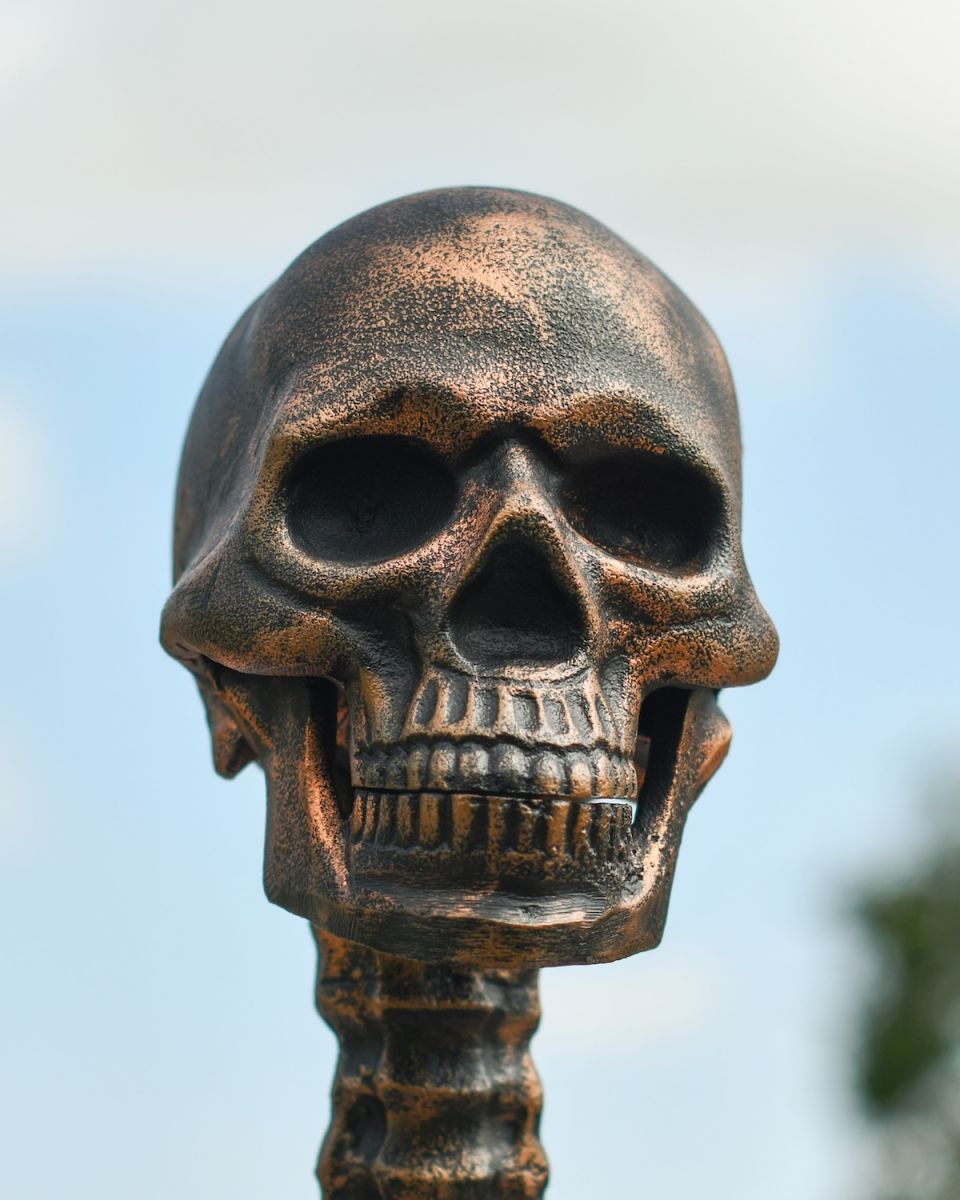 Close up of intricate skull detail on skeleton garden sculpture
