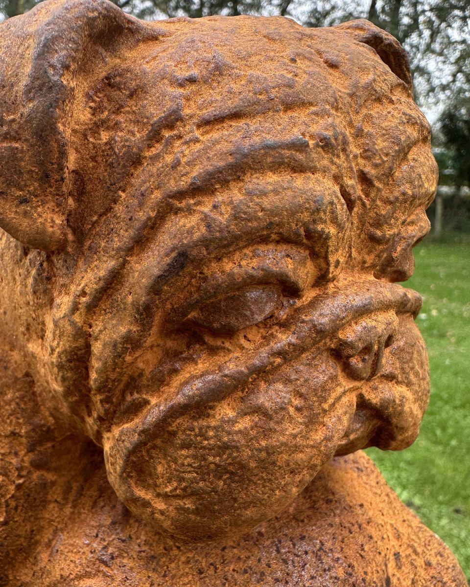 Close up of intricate detail on bulldog garden sculpture Close up of intricate detail on bulldog garden sculpture