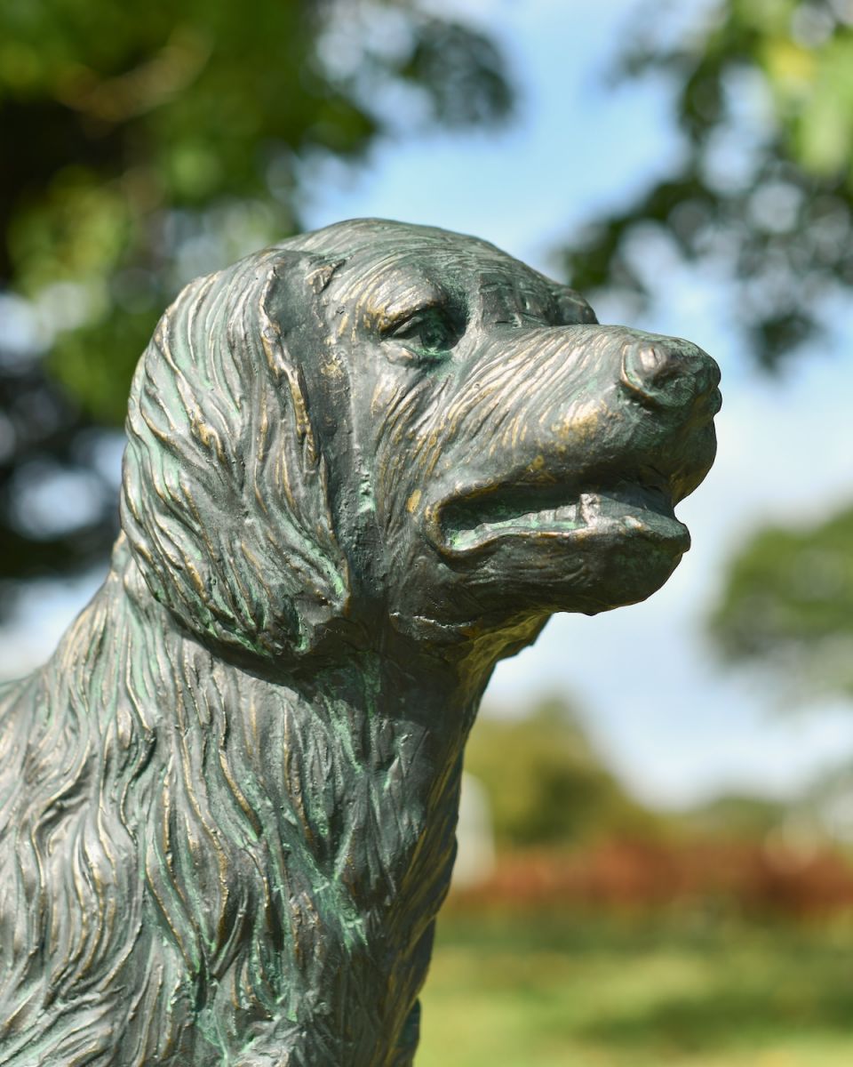 Close up of intricate face detail on dog garden statue