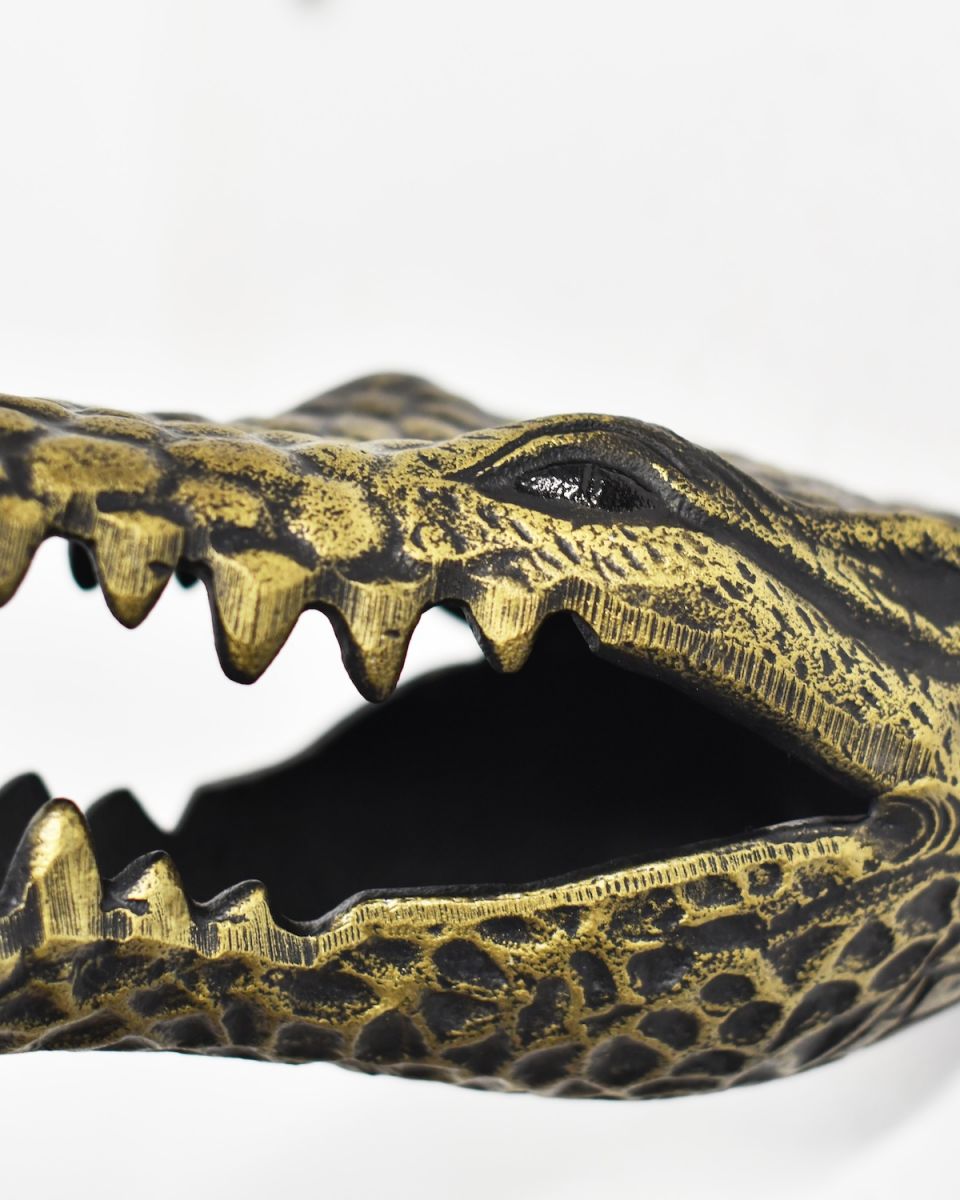 Close up of intricate face detail on gold animal wall bust