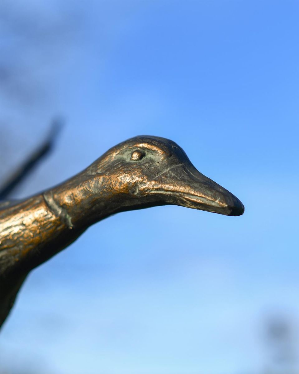 Close Up Of Cast Aluminum Flying Duck Garden Sculpture 