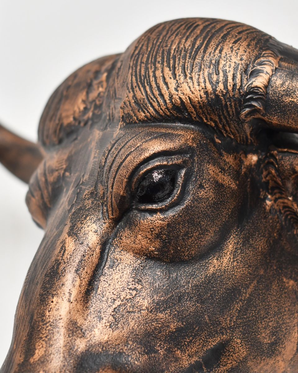 Close up of intricate face detail on Copper Buffalo Wall Bust