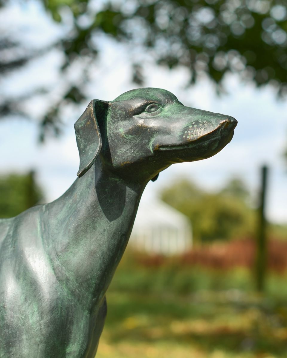 Close up of intricate face detail on "Rocket" the Verdigris Greyhound Dog Sculpture