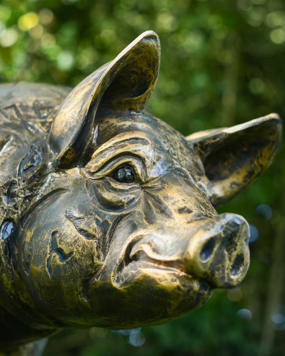 Close up of intricate face detailing on garden pig sculpture