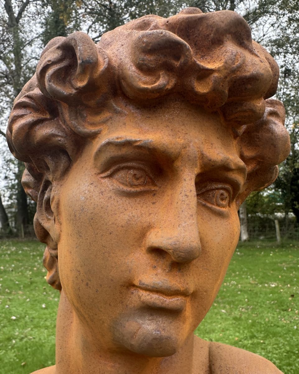 Close up of intricate face detail on Rustic Cast Iron "Bust of David" Garden Sculpture