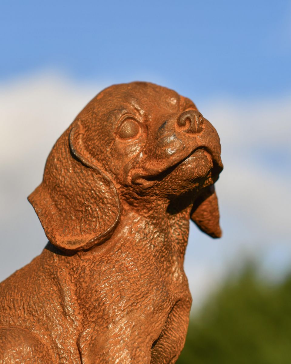Close Up Of "Adorable Sitting Dog" Garden Sculpture Close Up Of "Adorable Sitting Dog" Garden Sculpture