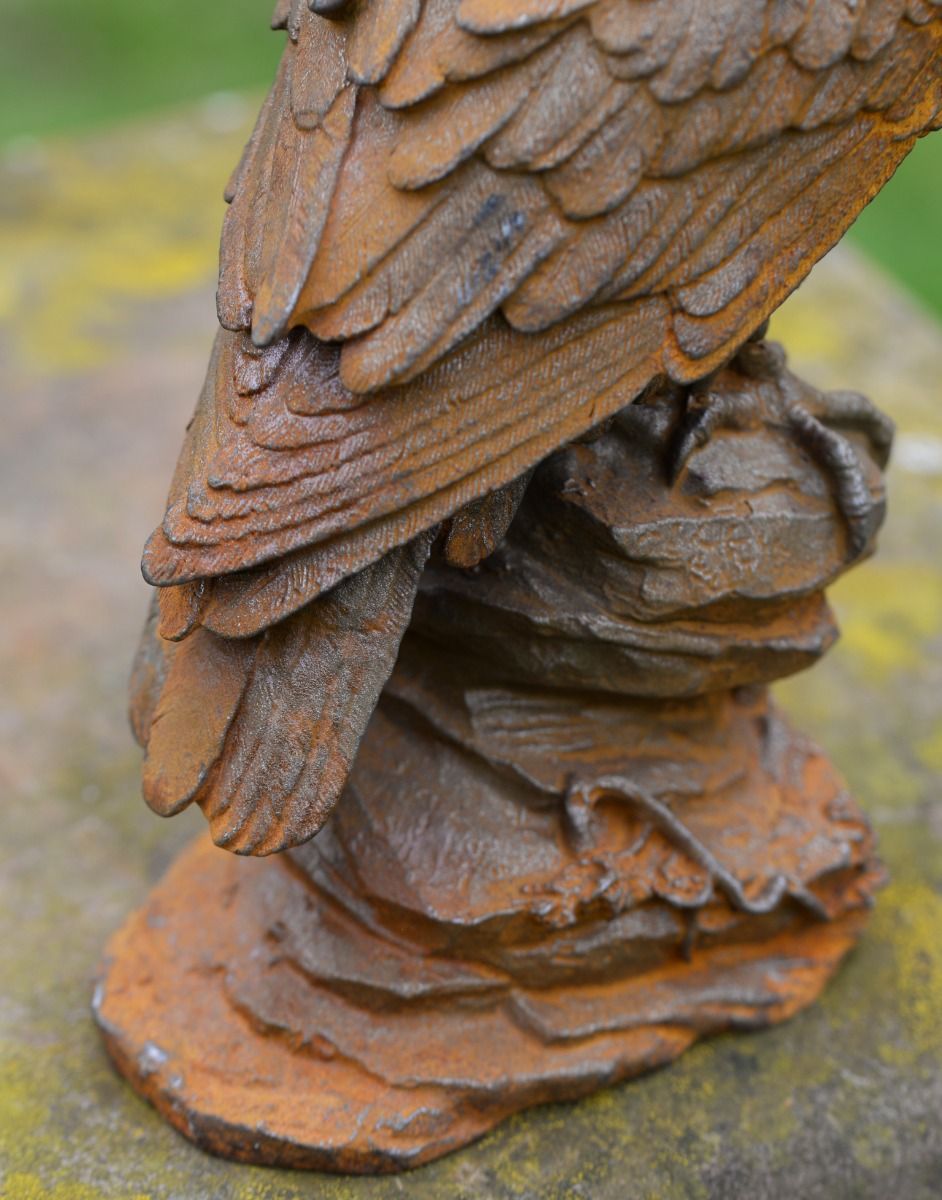 Close Up of Feathers on Eagle 