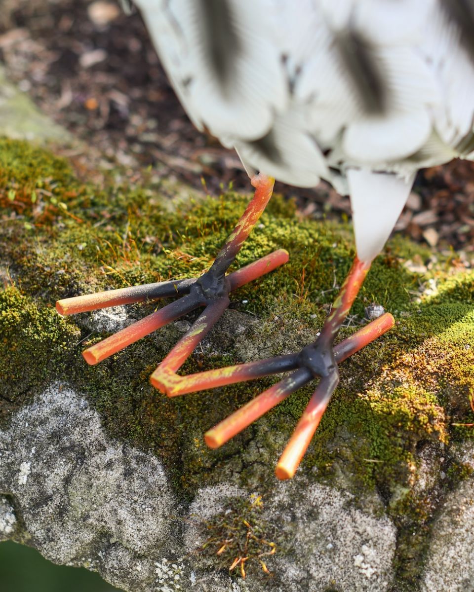 Close up of feet detail on steel owl garden ornament