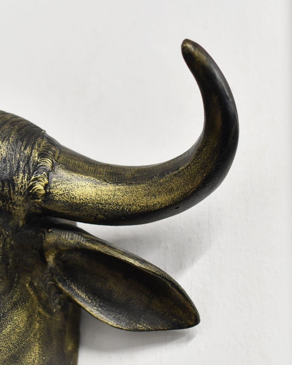 Close up of horn detail on buffalo head wall bust