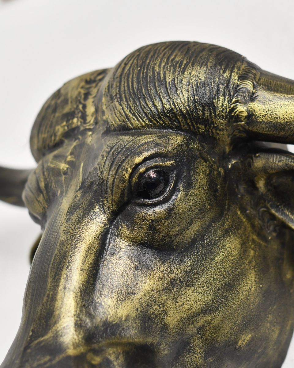 Close up of intricate face detail on gold animal wall bust