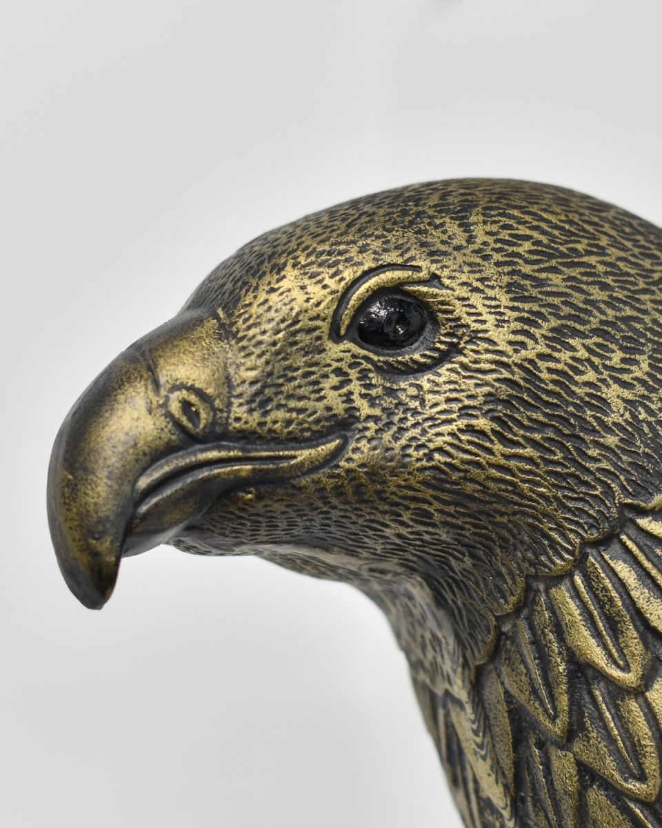 Close up of intricate face detail on eagle wall bust