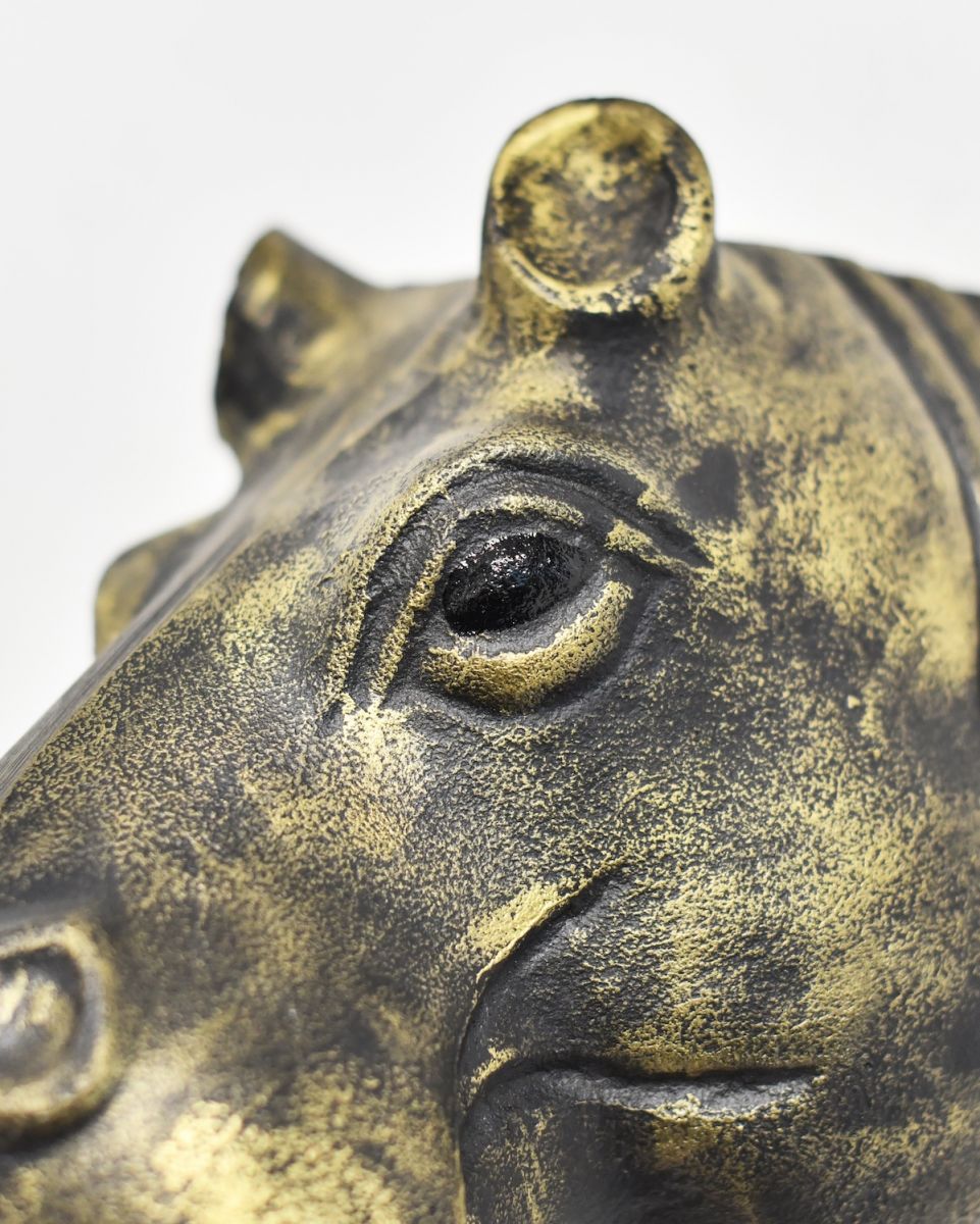 Close up of intricate face detail on Black & Gold Hippo Wall Bust