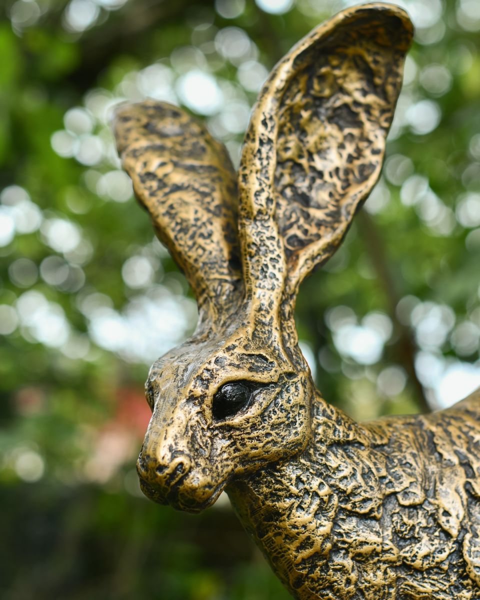 Close up of intricate face detail on gold hare sculpture