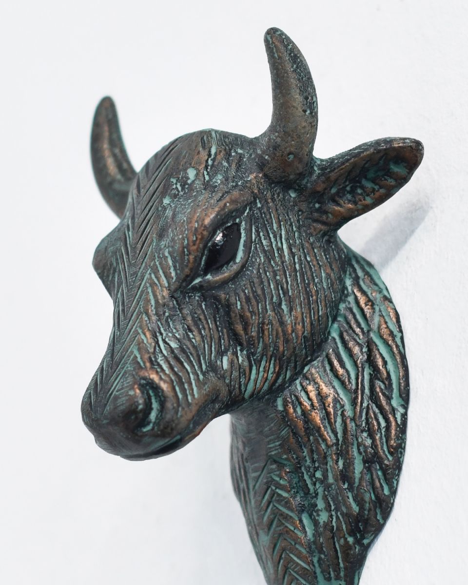 Close up of intricate verdigris face detail on coat hook Close up of intricate verdigris face detail on coat hook