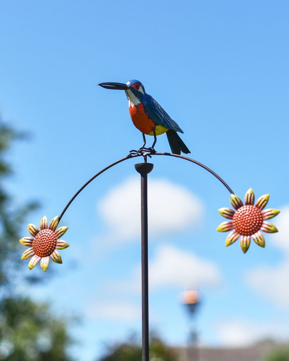 Close Up of Kingfisher On Spike 